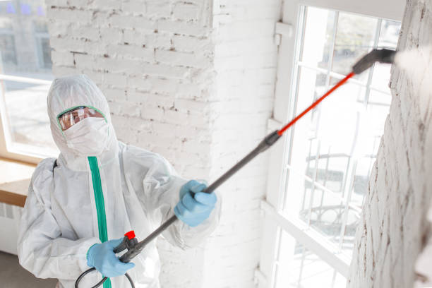 Best Biohazard Mold Removal  in Montvale, NJ
