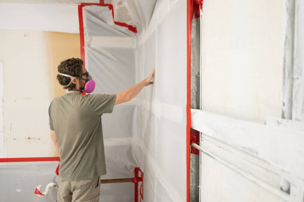 Best Black Mold Removal  in Montvale, NJ